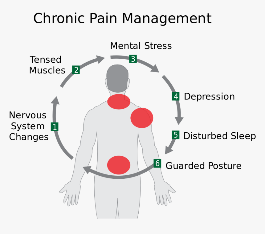 Stress Chronic Pain, HD Png Download, Free Download