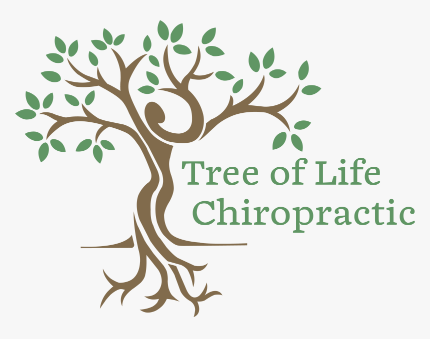 Chiropractic Tree Logo, HD Png Download - kindpng