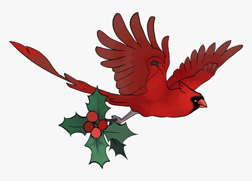 Cardinal Vector Flying - Cardinal Png, Transparent Png, Free Download