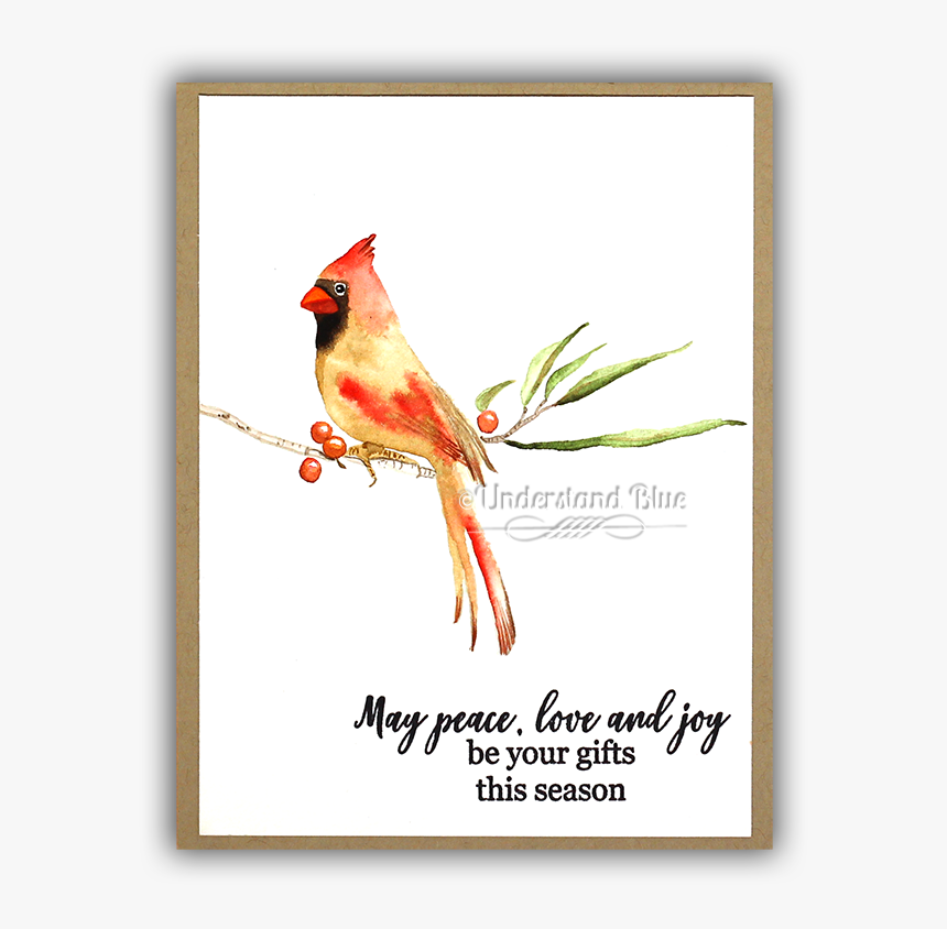 Watercolor Female Cardinal By Understand Blue - Northern Cardinal, HD Png Download, Free Download