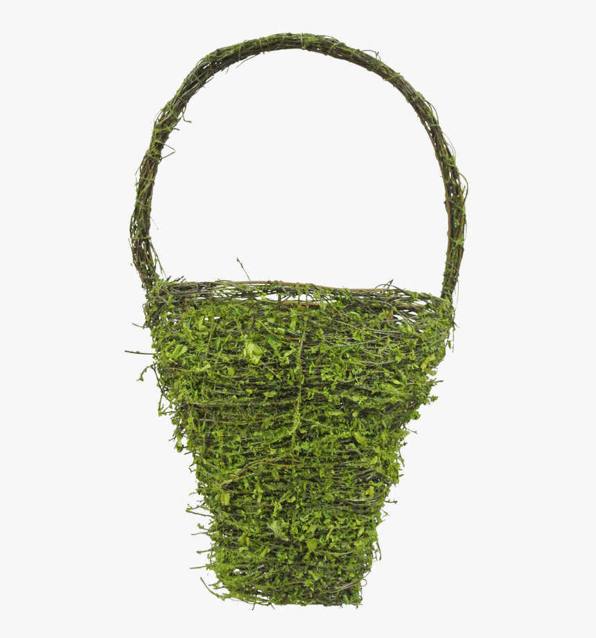 Transparent Moss Png - Moss, Png Download, Free Download