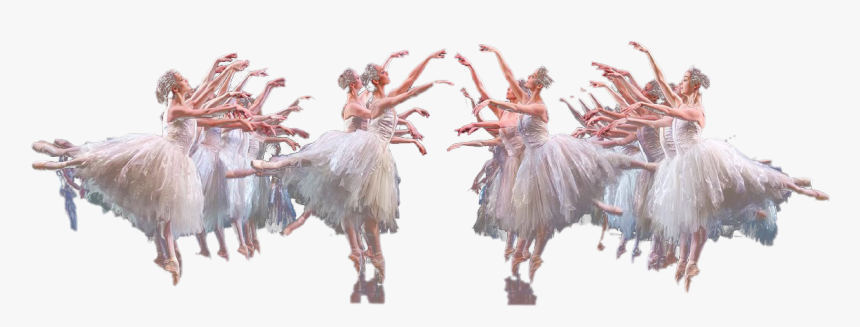 Ballet Swan Lake Png Download Image - Turkey, Transparent Png, Free Download