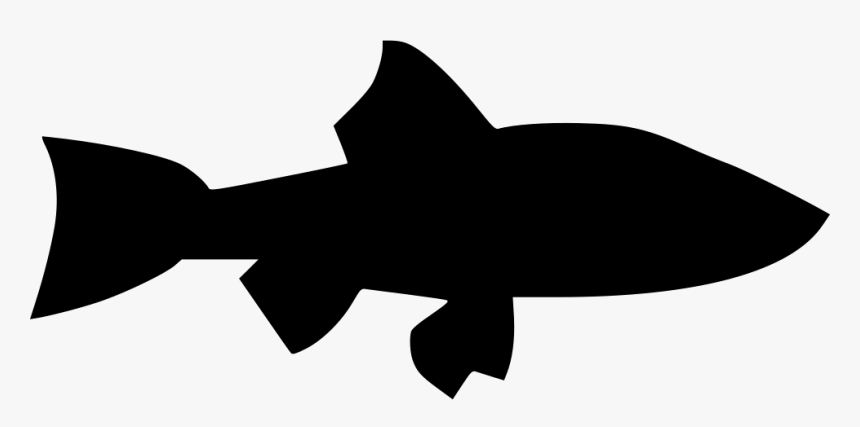 River Long Predator Lake - Shark, HD Png Download, Free Download