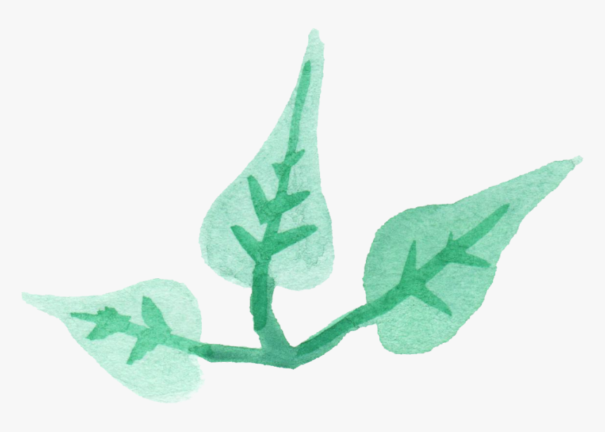 Leaf Png Transparent - Transparent Png Watercolor Leaf, Png Download, Free Download