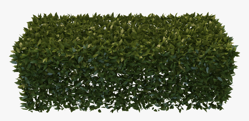 Png Hedges Pic - Box Hedge Png, Transparent Png, Free Download