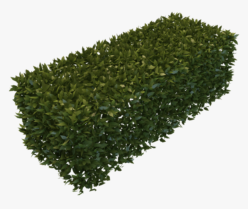 Background Transparent Hedges - Hedges With No Background, HD Png Download, Free Download