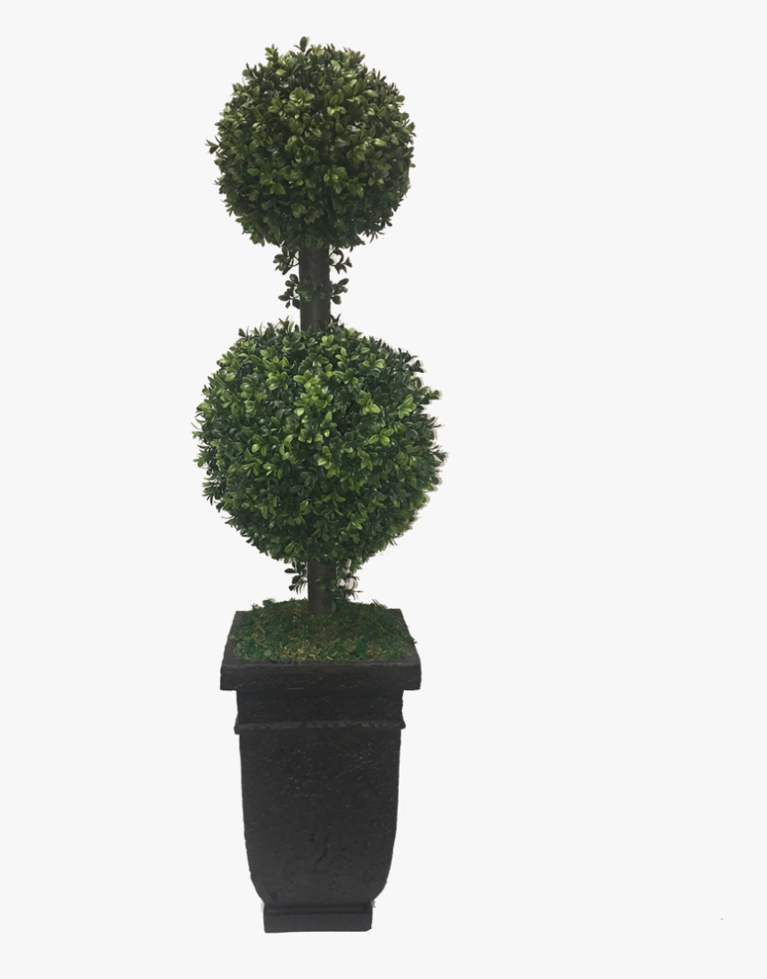 Topiary Hedge Shrub Bush Plant Freetoedit - Topiary Png, Transparent Png, Free Download