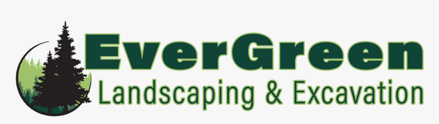 Tree, Hedge, Shrub Pruning And Removal - Evergreen Tree, HD Png Download, Free Download