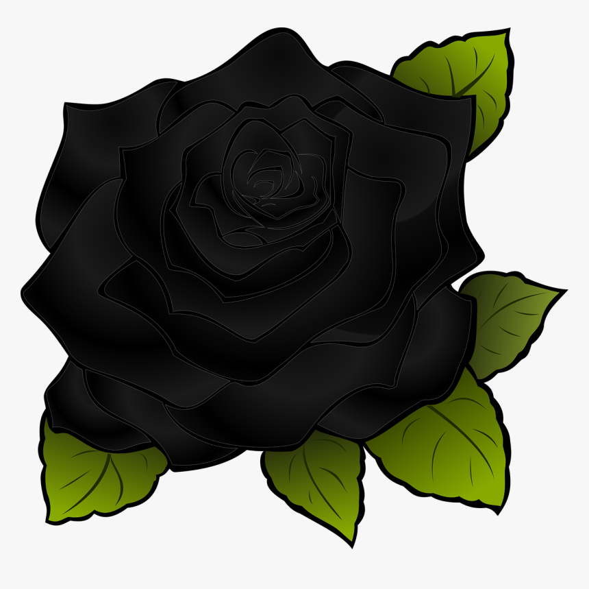 Không phải ai cũng biết đến hoa hồng đen, và để hiểu rõ hơn về loài hoa này, bạn không thể bỏ qua hình ảnh về hoa hồng đen. Nét vẽ đầy tinh tế đã tạo nên những cánh hoa hồng đen rực rỡ, độc đáo. Chẳng cần phải là một người yêu hoa, bạn cũng sẽ cảm thấy phấn khích khi chiêm ngưỡng những hình ảnh đẹp đến kinh ngạc này.