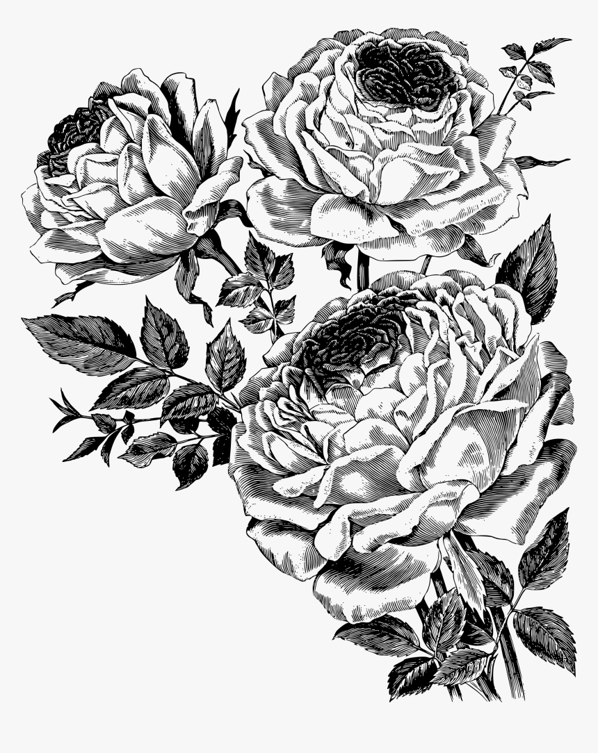 Transparent Rose Clipart Black And White Png - Iron Orchid Designs Transfers Farm, Png Download, Free Download