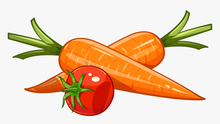 Royalty Free Carrots Drawing Carrot And Tomato Drawing Hd Png