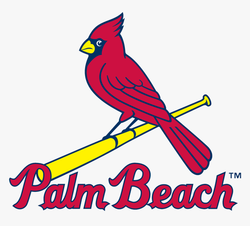 St Louis Cardinals, HD Png Download, Free Download