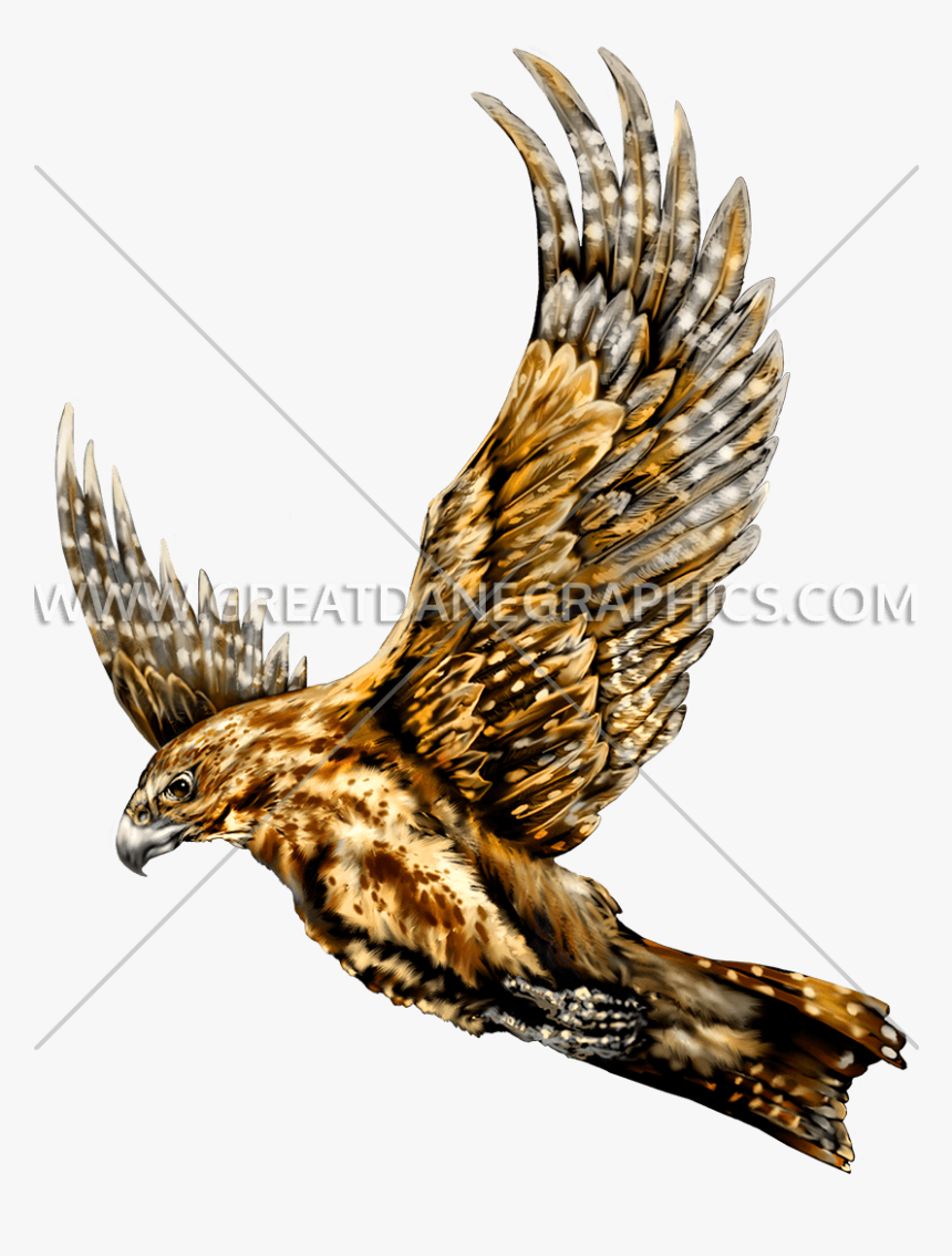 Flying Falcon Art, HD Png Download, Free Download