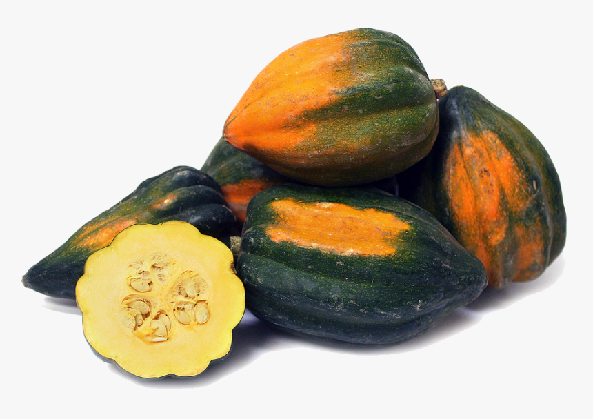 Download Acorn Squash Png Image - Abobora Bolota, Transparent Png, Free Download