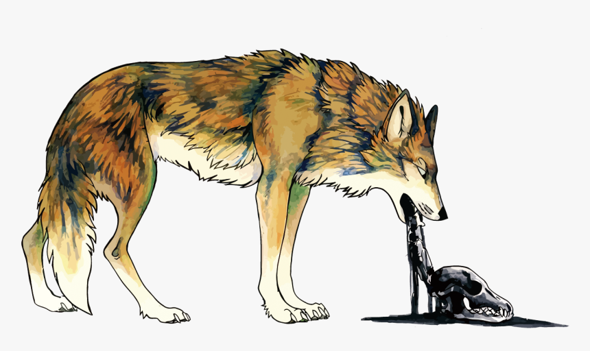 Coyote Dog Vomiting Illustration - Coyote Illustration, HD Png Download, Free Download