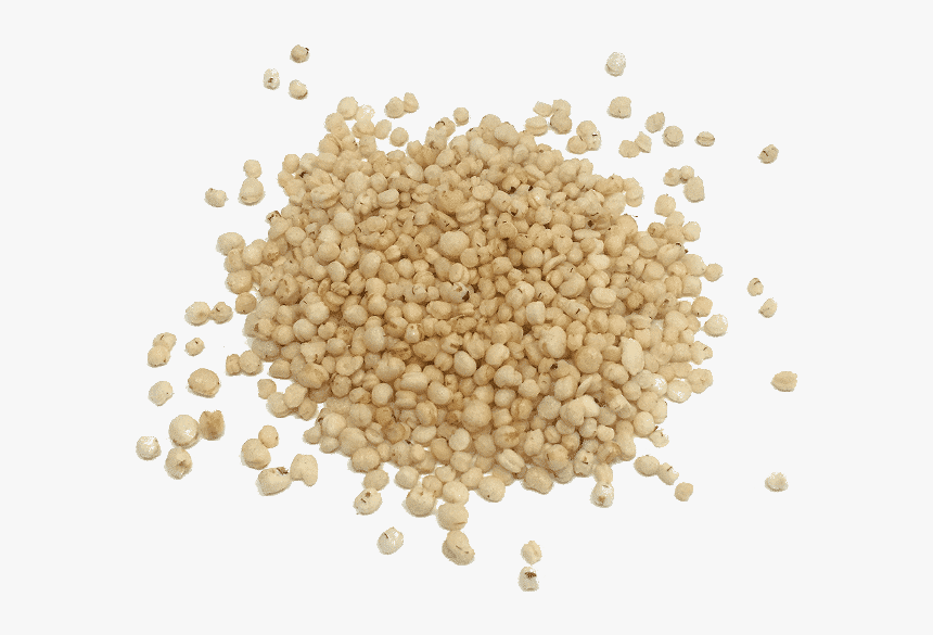 Cereal Germ Whole Grain Sorghum - Sorghum Png, Transparent Png, Free Download