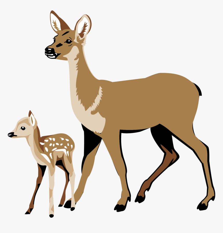 Transparent Deer Silhouette Png - White Tailed Deer Clipart, Png Download, Free Download