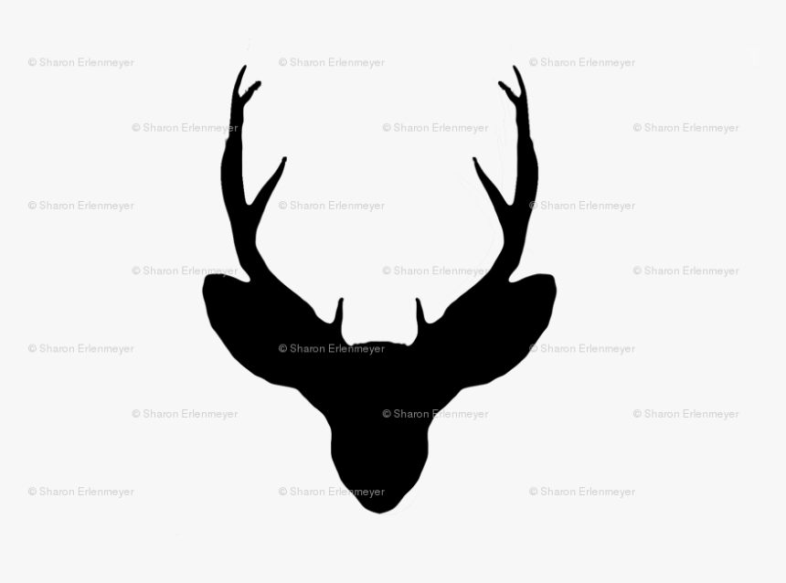 Deer, HD Png Download, Free Download