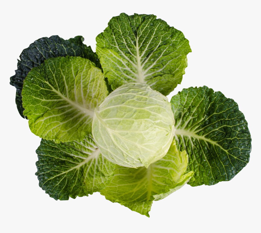 Kale Png Image, Transparent Png, Free Download