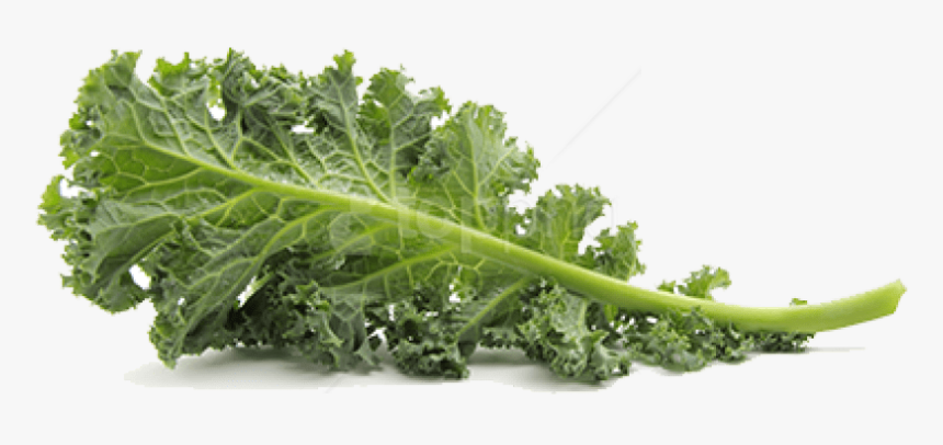 Transparent Background Kale Png, Png Download, Free Download