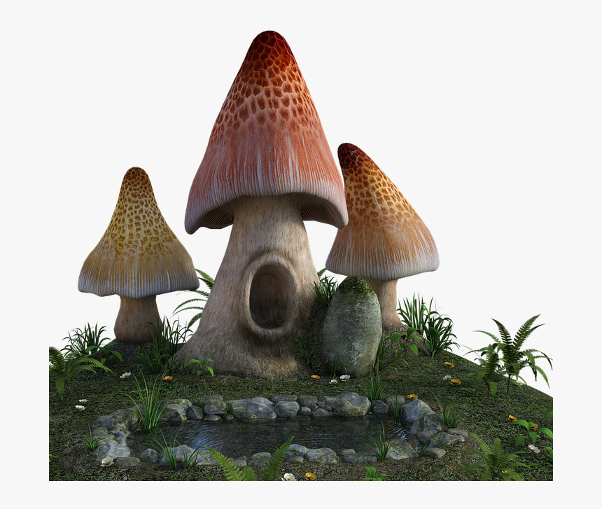 Mushrooms, 3d, Pond, Fantasy, Nature, Plants, Grass - Fantasy Mushrooms Png, Transparent Png, Free Download