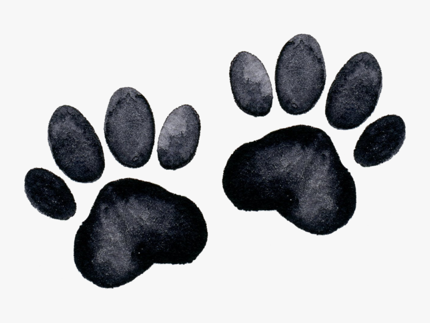 Paw Prints - Pebble - Pebble, HD Png Download, Free Download