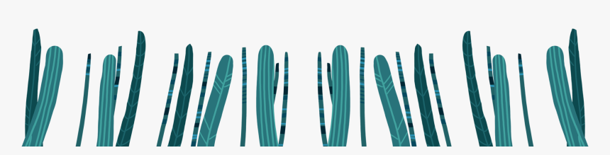 San Pedro Cactus, HD Png Download, Free Download