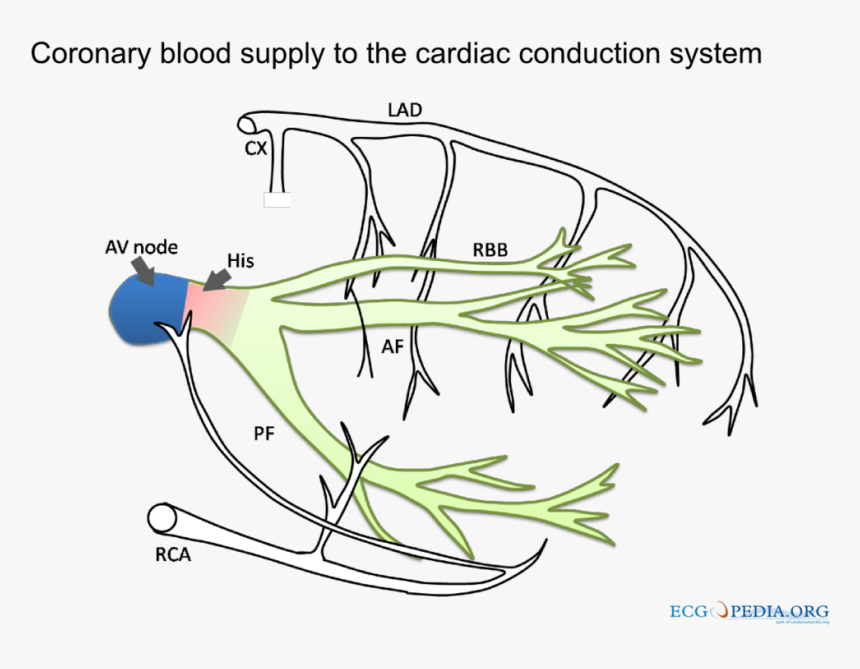 Diagram, HD Png Download, Free Download