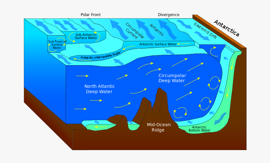 Antarctic Bottom Water - Ocean Current, HD Png Download, Free Download