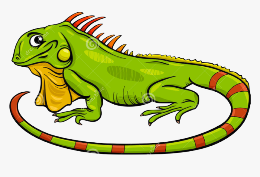 Group Clipart Reptiles - Iguana Cartoon, HD Png Download, Free Download