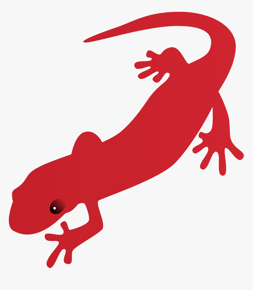 Lizard Clipart Drawn For Free Download And Use In Presentations - Salamander Clipart, HD Png Download, Free Download