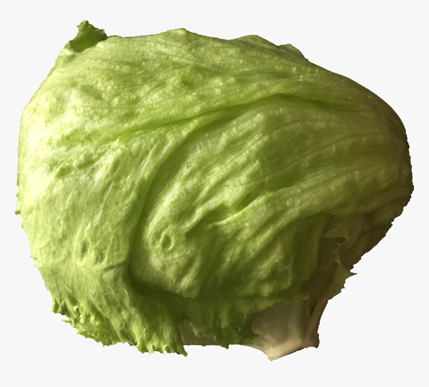 Transparent Cabbage Clipart - Clipart Image Of Lettuce, HD Png Download, Free Download