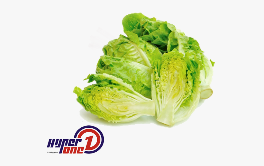 Iceburg Lettuce, HD Png Download, Free Download