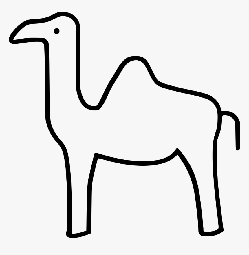 Camel, HD Png Download, Free Download