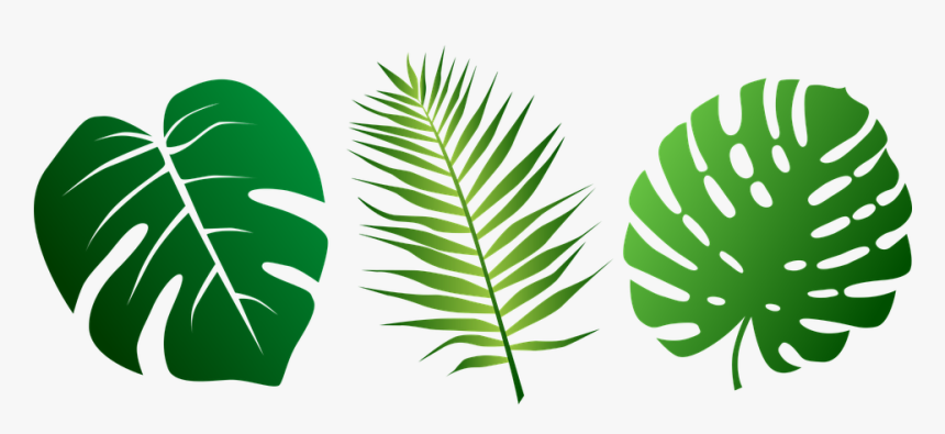 Jungle Leaves Clipart, HD Png Download, Free Download