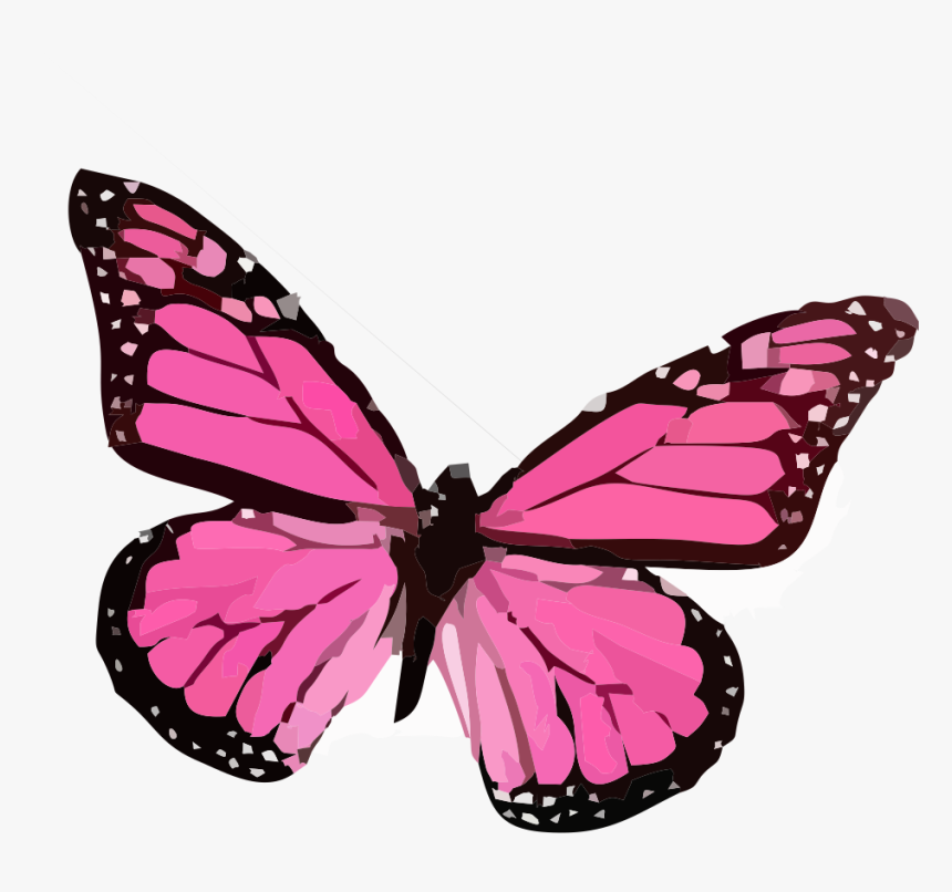 Mariposas Png, Transparent Png, Free Download