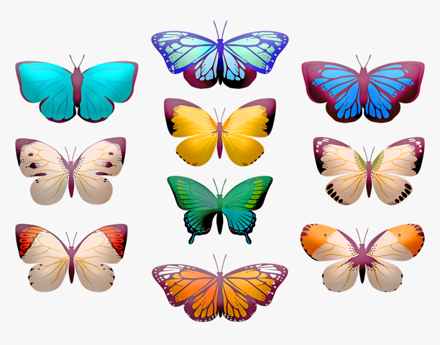 Mariposa Clip Art, Mariposas, Insectos, Mariposa - Clip Art Butterfly, HD Png Download, Free Download