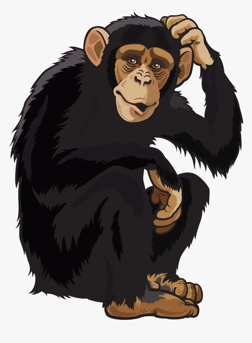 28 Collection Of Wild Animals Clipart Png Chimp Clipart Transparent Png Kindpng