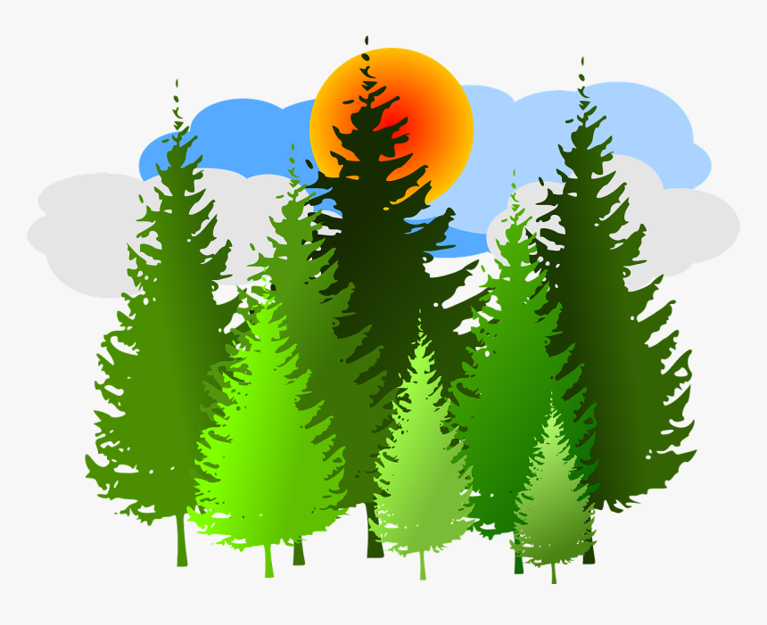 Pine Trees Clip Art, HD Png Download, Free Download