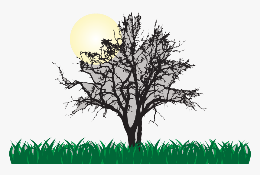 Tree Euclidean Vector Illustration - Animals At Night, HD Png Download, Free Download