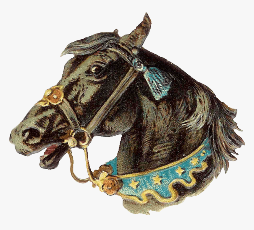 Vintage Horse Head Png - Horse Vintage Png, Transparent Png, Free Download