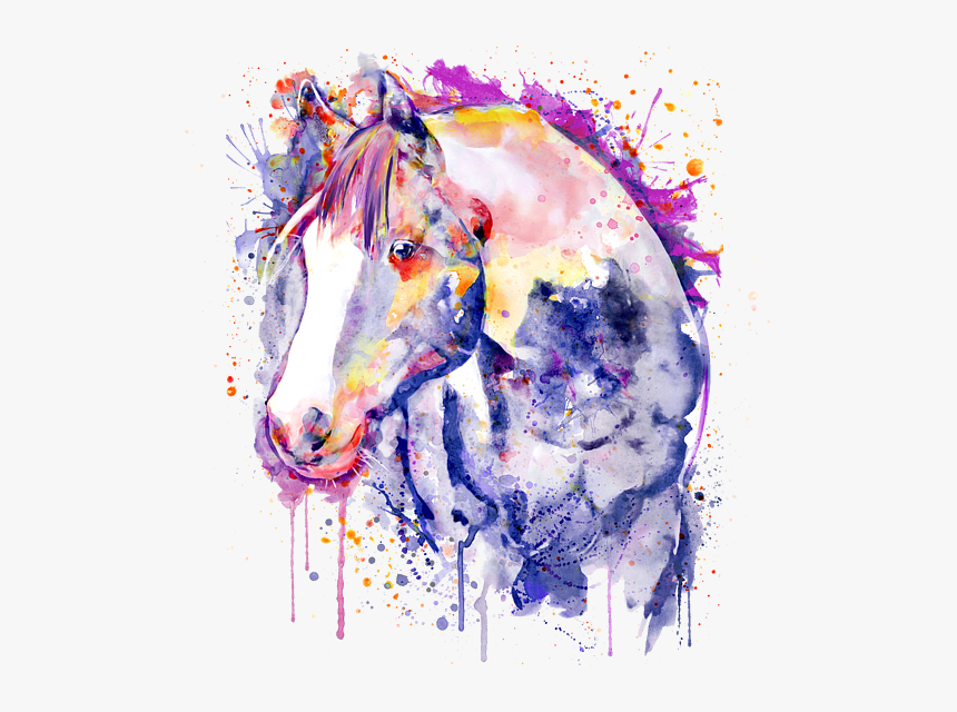 Drawing Horse Head Watercolour, HD Png Download, Free Download
