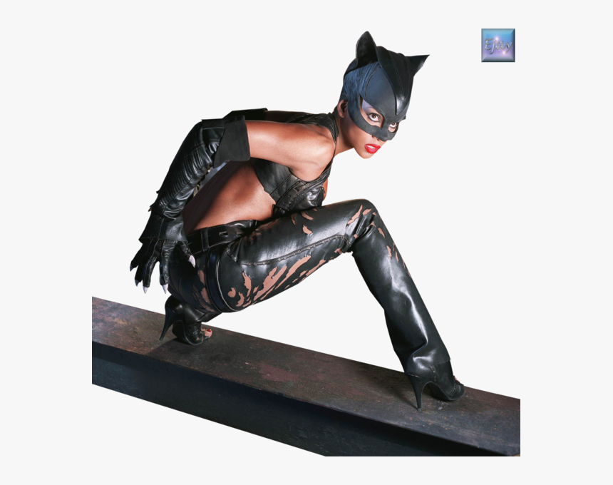 Catwoman Png, Transparent Png, Free Download