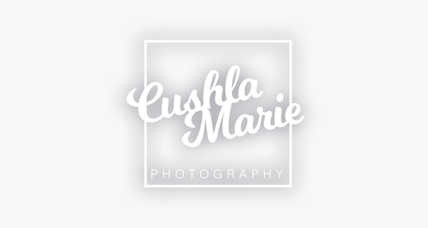 Logo White Medium 5 - Ivory, HD Png Download, Free Download