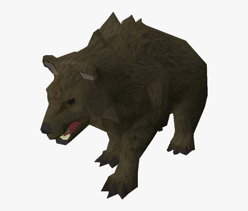 Grizzly Bear, HD Png Download, Free Download