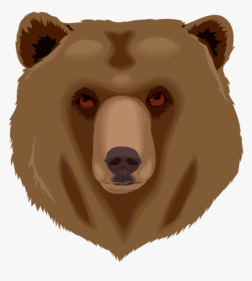 Head,carnivoran,bear - Grizzly Bear Head Clip Art, HD Png Download, Free Download