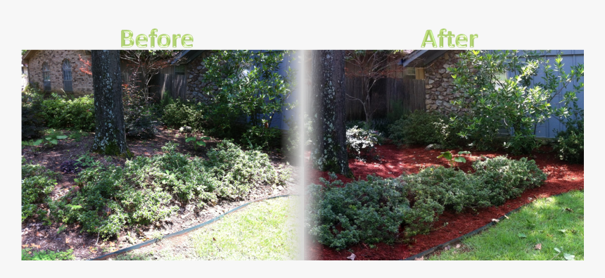 Lawnserve Of Ar Shrub Trimming And Mulch Before And - Mulch Before And After, HD Png Download, Free Download