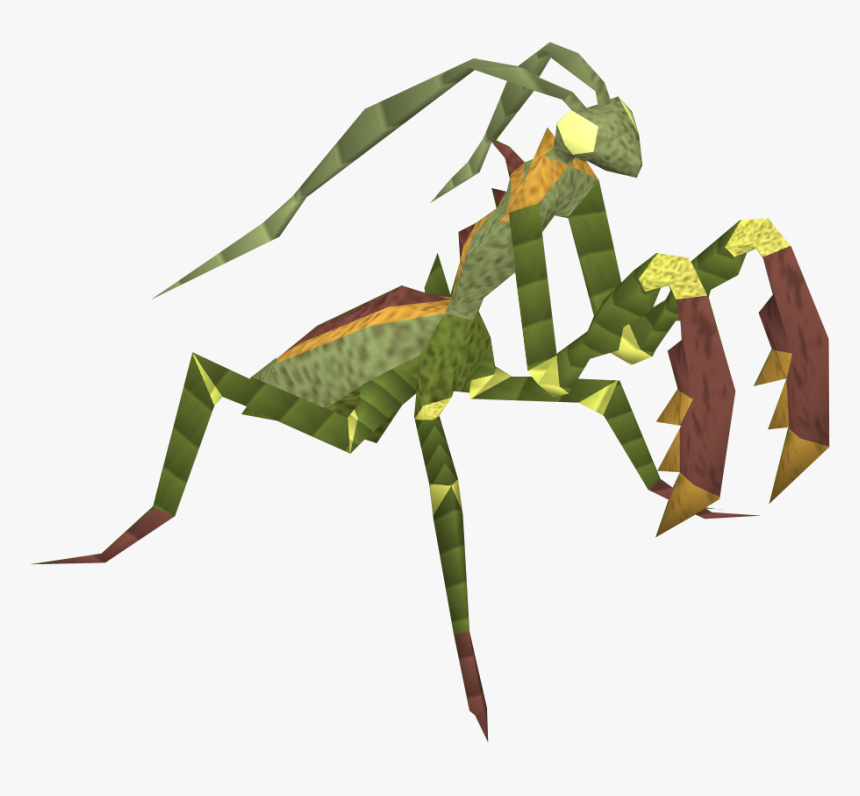 Praying Mantis Gif Transparent, HD Png Download, Free Download