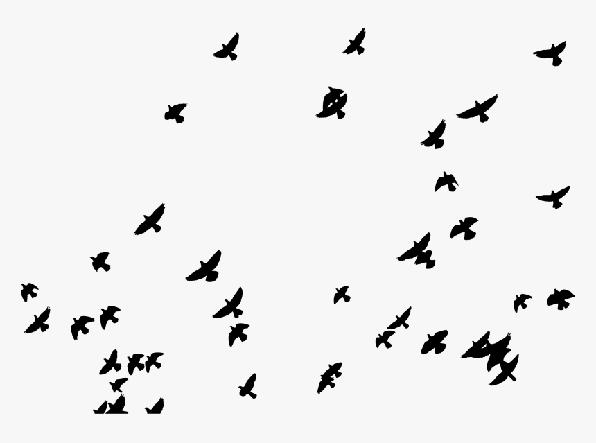 Flock Of Pigeons Silhouette Clip Arts - Pigeon Silhouette Png, Transparent Png, Free Download