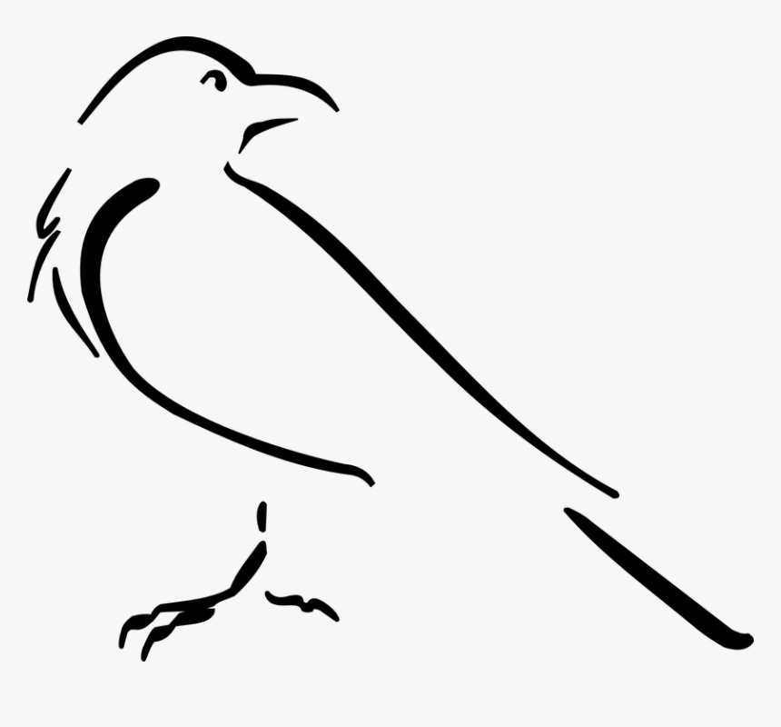 Crow Drawing Outline, HD Png Download, Free Download